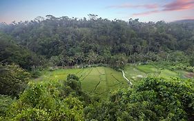 Black Penny Villas Ubud